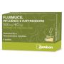 Fluimucl influenza e raffreddore 500 mg/ 60 mg granulato per soluzione orale