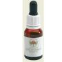 Dagger hakea australian gtt 15ml