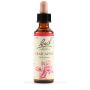 Crab apple bach orig 20 ml