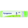 Pyrogenium 5ch gr bo