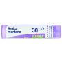 Arnica montana 30ch gl bo
