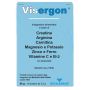 Visergon 16 bustine 5,5 g