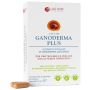 Ganoderma plus 60 compresse