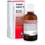 R25 gocce 22ml