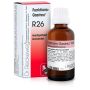 R26 gocce 22ml