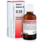 R38 gocce 22ml