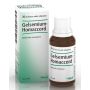 Gelsemium homac gtt 30ml