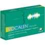 Vocalen 20 capsule