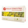 Tribulus terrestris 60 capsule