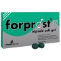 Forprost 400 15 capsule molli