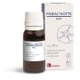 Pineal notte fast gocce 10 ml