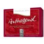 Opc masquelier anthogenol 30 capsule