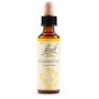 Sclerantus bach orig 20 ml