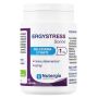 Ergystress sonno 60 capsule