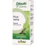 Ficus carica gemme macerato glicerinato 60 ml int