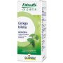 Ginkgo biloba estratto idroalcolico 60 ml