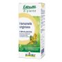 Hamamelis virginiana estratto idroalcolico 60 ml