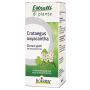 Crataegus oxyacantha macerato glicerico 60 ml int