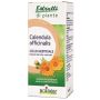 Calendula officinalis estratto idroalcolico 60 ml int