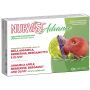 Nurvast advance 30 compresse gastroresistenti