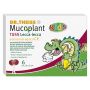 Dr theiss mucoplant tuss lecca lecca 6 pezzi