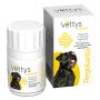 Vettys integra regolarita' cane 30 compresse masticabili