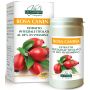 Rosa canina estratto integrale titolato polvere 100 g