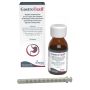 Gastrotaxil 120 ml