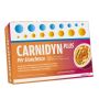 Carnidyn plus 20 bustine da 5,3 g gusto passion fruit