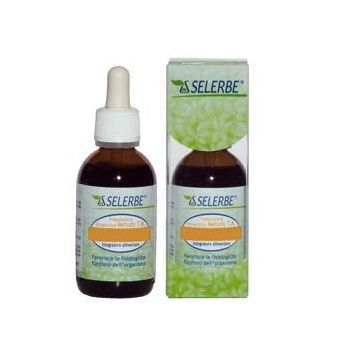 Valeriana tintura madre 50 ml