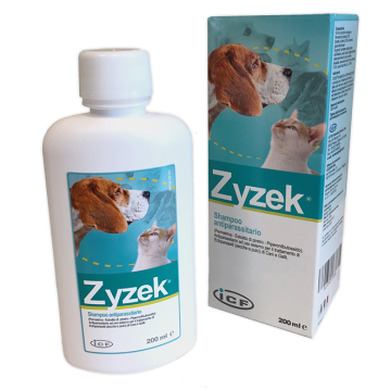 Zyzek shampo antipar.200ml
