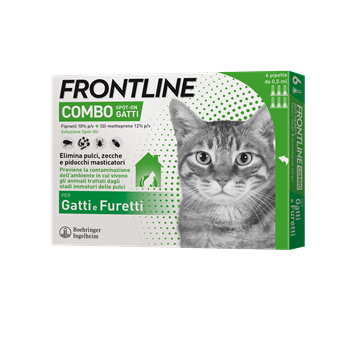 Frontline combo spoton g*6 pip