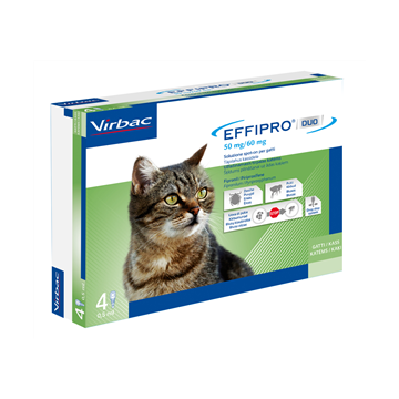 Effipro duo*4pip 1-6kg gatti