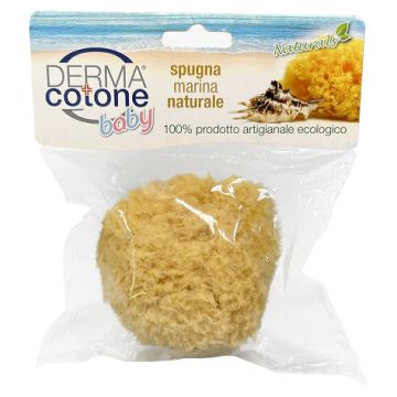 Dermacotone spugna marina