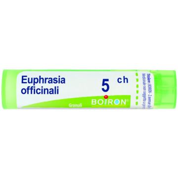 Euphrasia off 5ch gr bo