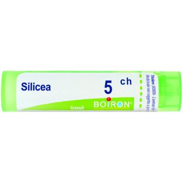 Silicea 5ch gr bo