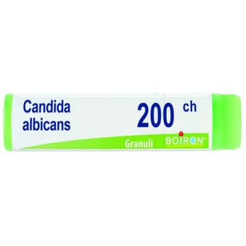 Candida albican 200ch gl bo