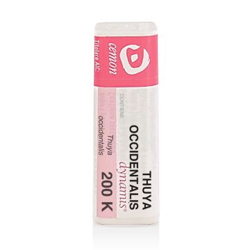 Thuya occidentalis 200k gl unda