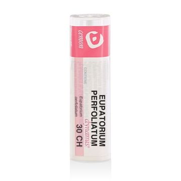 Eupatorium perfolia 30ch gr und