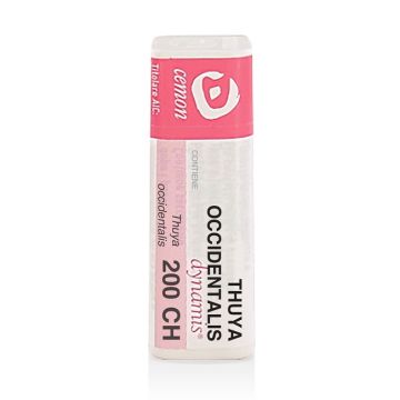 Thuya occidentalis 200ch gl unda