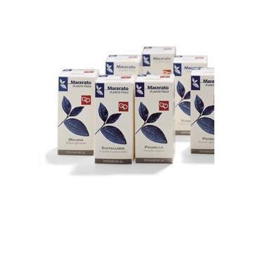 Scutellaria tintura madre 100 ml