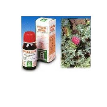 Cardo mariano 6 50ml tm