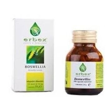 Boswellia 100 capsule