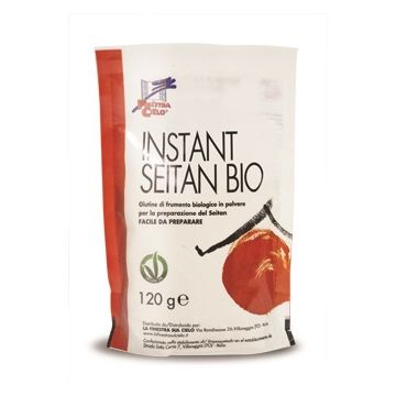 Instant seitan bio 120 g
