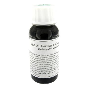 Lvs 03n silybum marianum compositum
