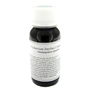 Lvs 05n cichorium intybus compositum