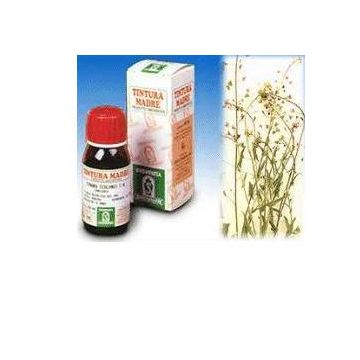 Borsa pastore 4 50ml tm