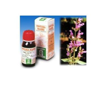Salvia 25 50ml tm