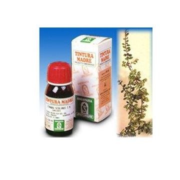 Uva ursina 30 50ml tm