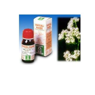 Valeriana 36 tintura madre 50 ml